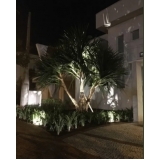 Iluminação para jardins