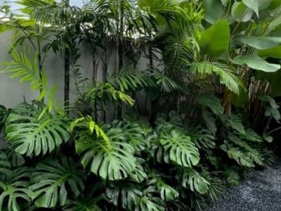 Empresa de projetos de paisagismo em São Paulo