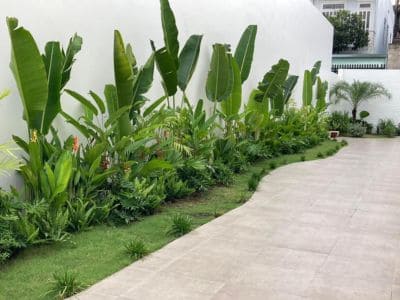 Implantação de Jardins no Butantã