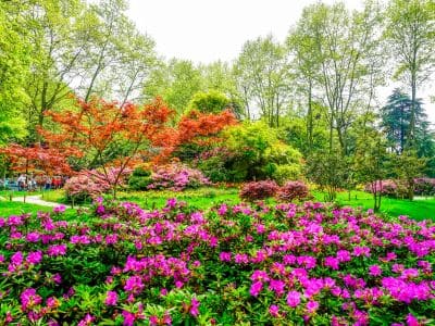 Paisagismo em jardinagem em São Paulo