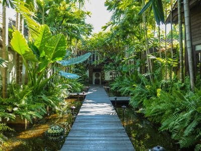 Projetos de paisagismo em Joanópolis