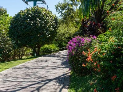Serviços de Implantação de Jardins
