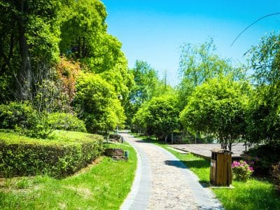 Serviços de paisagismo em Santana