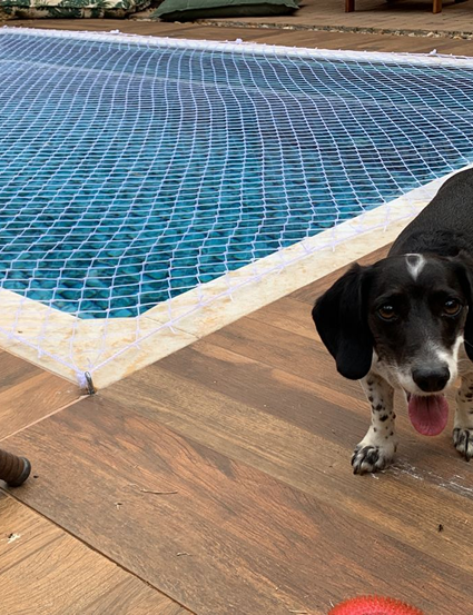 Rede de Proteção anti Pássaros