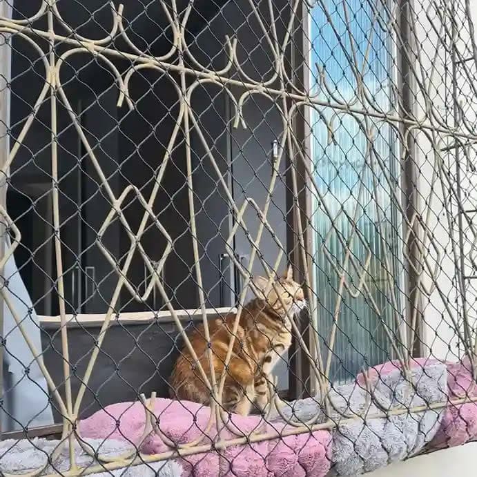 Portão com rede de proteção em Porto Alegre
