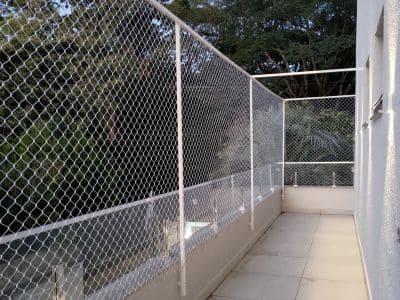 Proteção contra morcegos em Porto Alegre