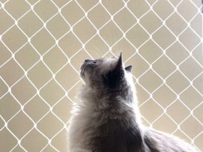Tela de Proteção para animais na Grande Porto Alegre