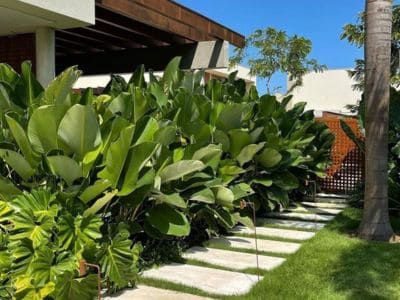 Empresas de Jardinagem em São Paulo