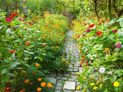 Implantação de Jardins em Moema