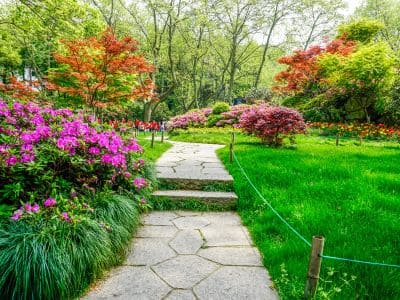Implantação de Jardins no Tatuapé