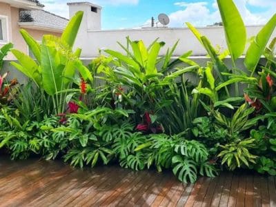 Empresa Especializada em Implantação de Jardins
