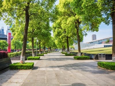 Implantação de Jardins em Empresas