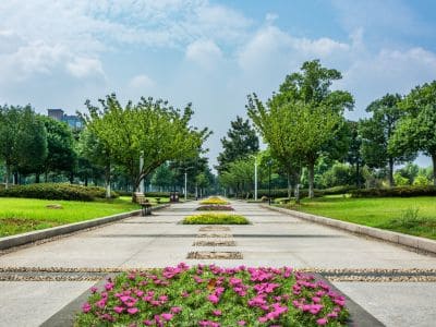 Implantação de Jardins no Itaim Bibi
