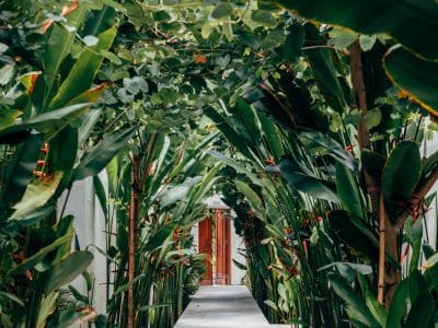 Implantação de Jardins Residenciais em São Paulo