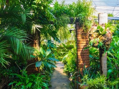 Projetos de paisagismo para fazendas