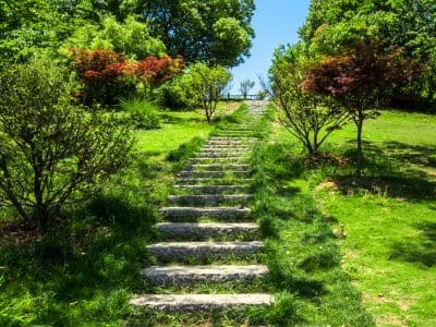 Projetos de paisagismo em Piracaia