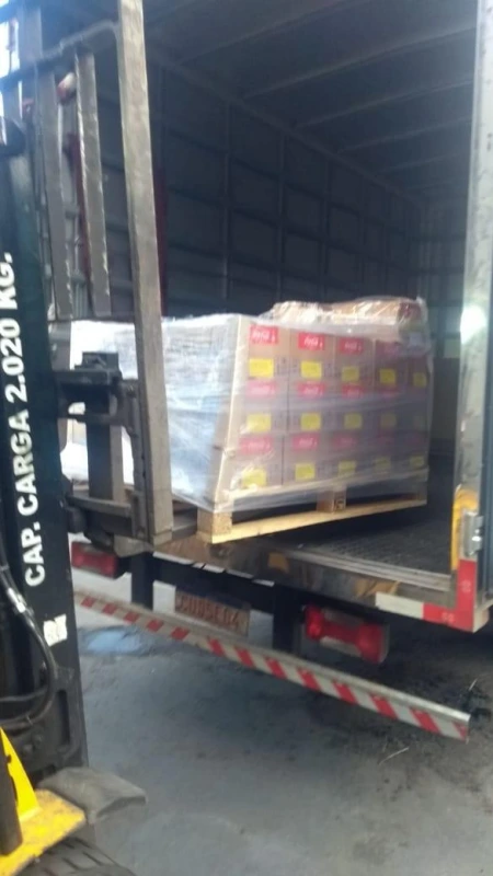 Transportadora carga compartilhada - TXT Log